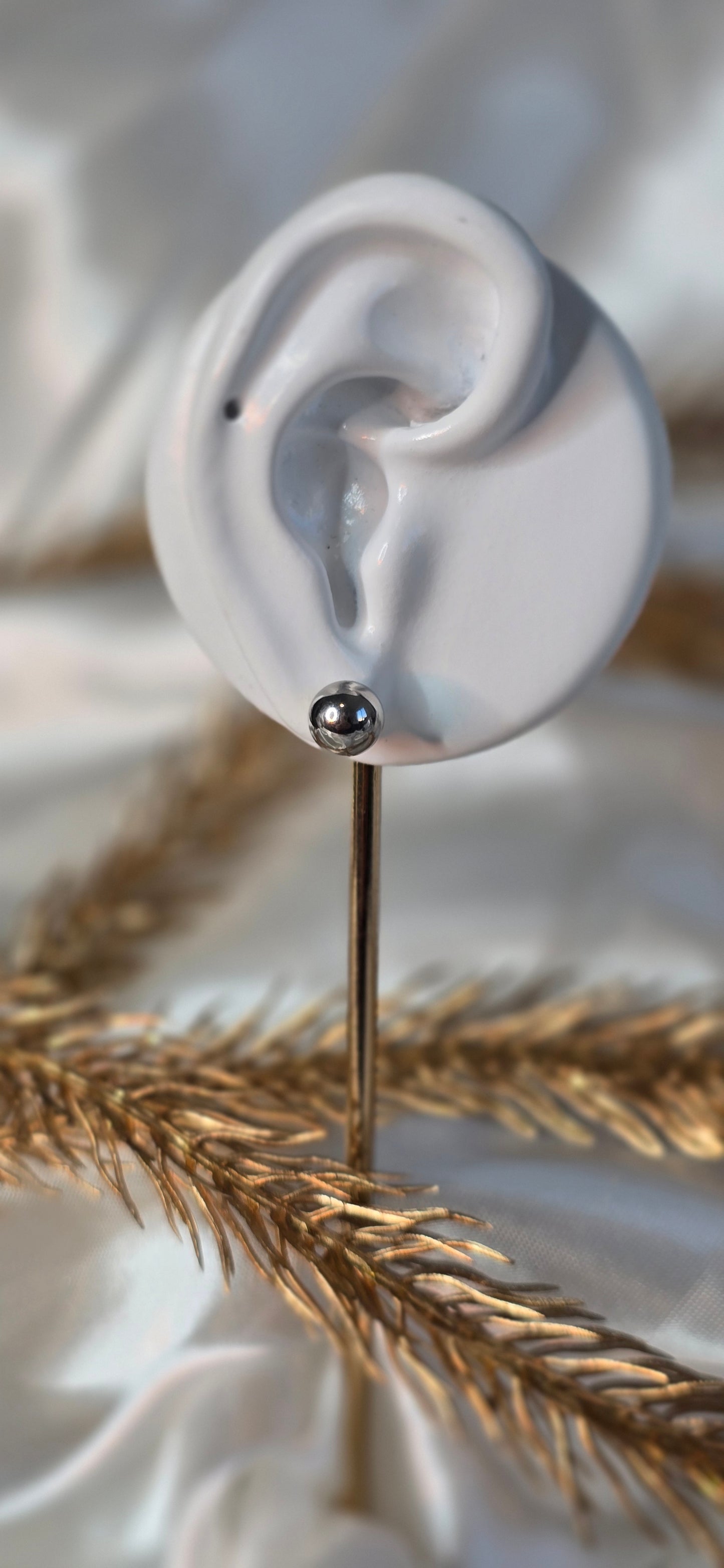 Silver Ball Studs